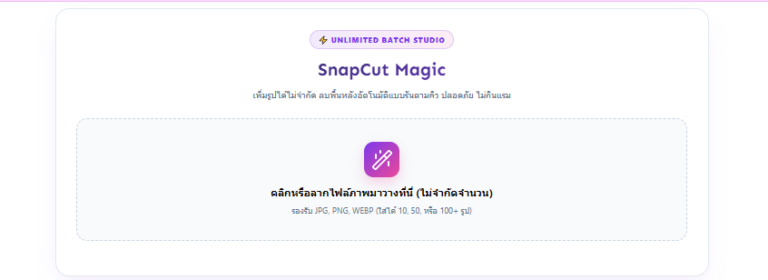 SnapCut Pro โปรแกรมลบพื้นหลังรูปภาพออนไลน์ ตัดต่อเนียนเร็ว ฟรี